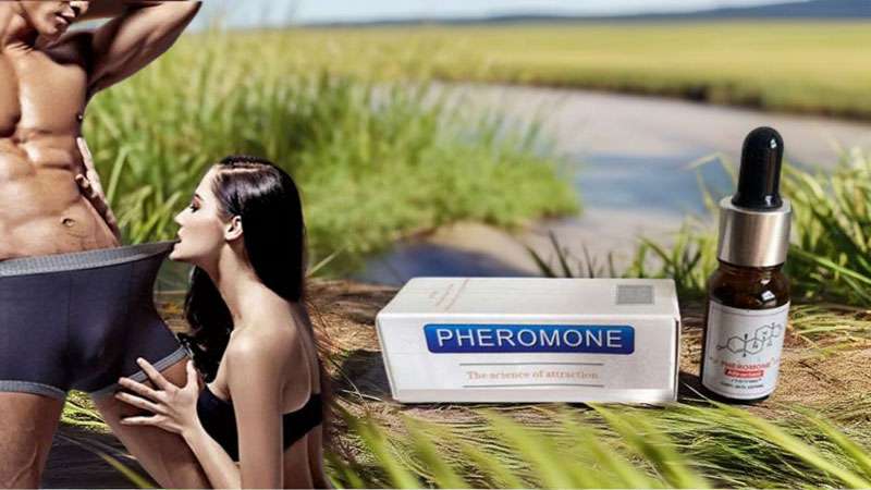 Tác dụng nước hoa kích thích nam Pheromone